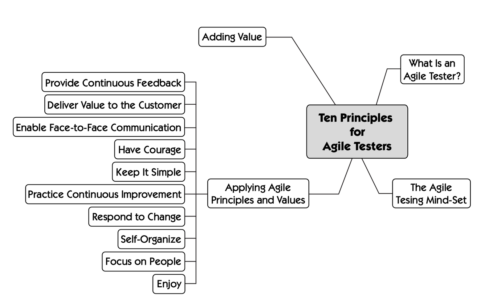 Agile Testing Principles