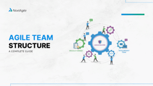 Agile team Structure
