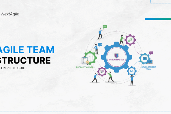 Agile team Structure