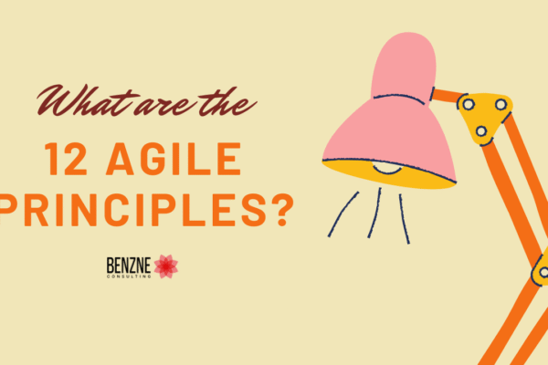what are the 12 agile principles