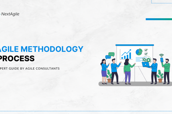 Agile Methodology Process Expert Guide by Agile Consultants