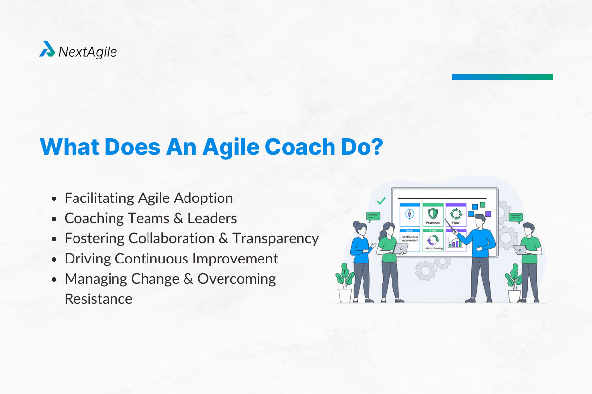 What Does An Agile Coach Do