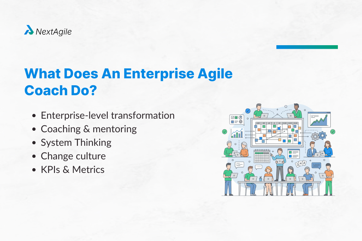 What Does An Enterprise Agile Coach Do