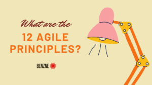 What are the 12 agile principles